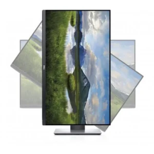 Dell P2319H